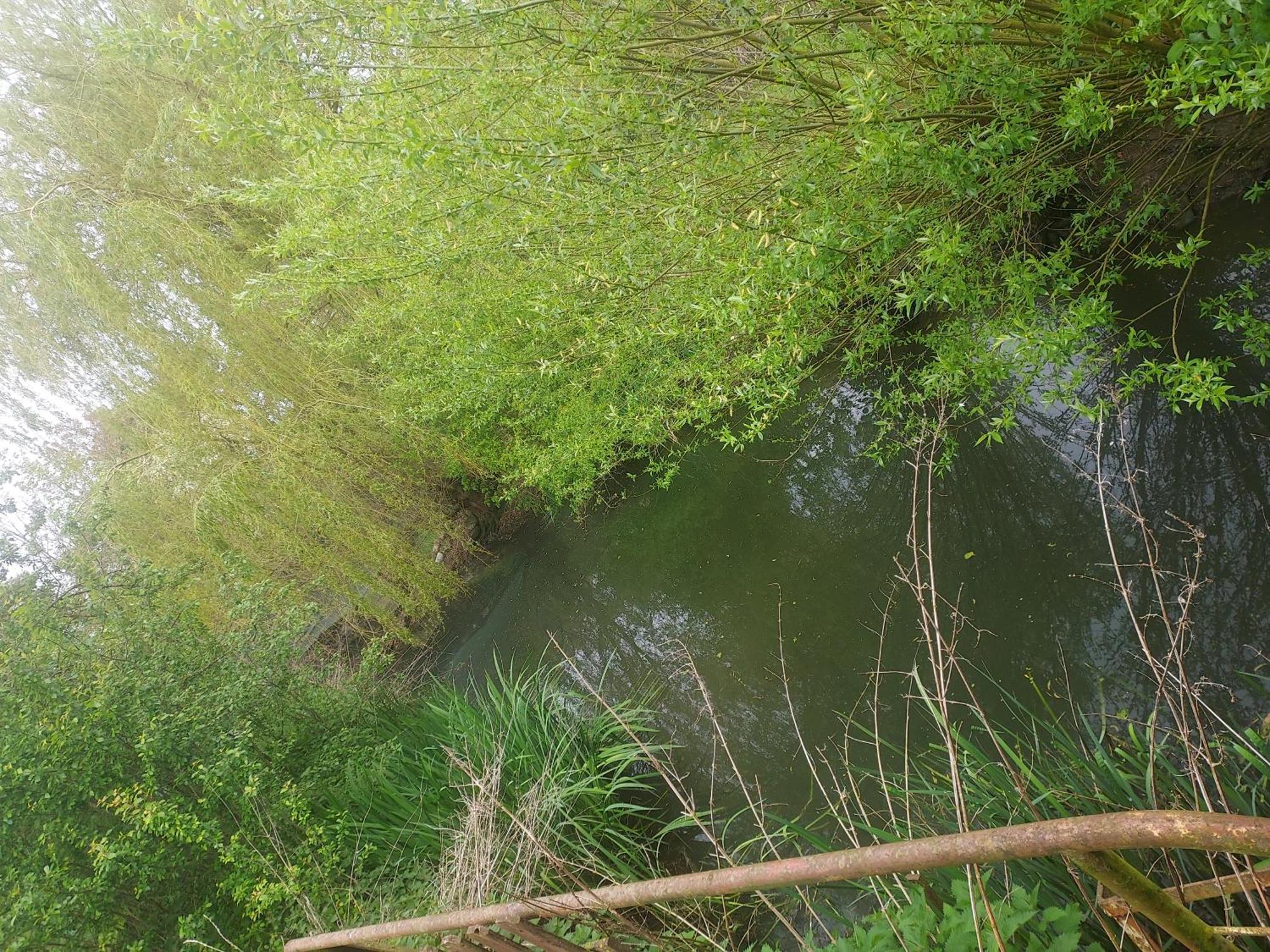 Au Chant Des Grenouilles Patay Zewnętrze zdjęcie
